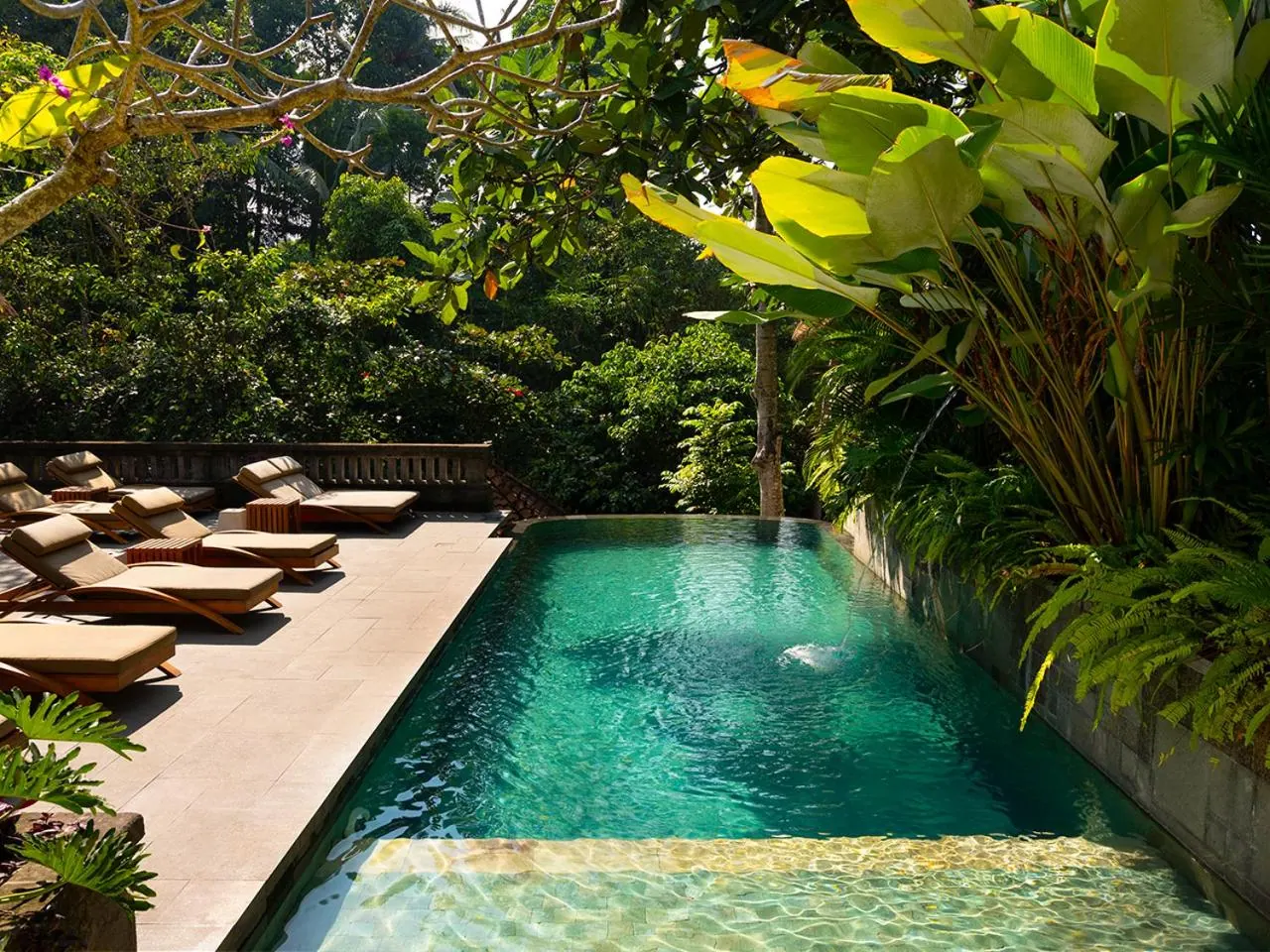 A long turquoise pool with a sheer far edge sits beside teak sun loungers on a stone deck, surrounded by tropical greenery.