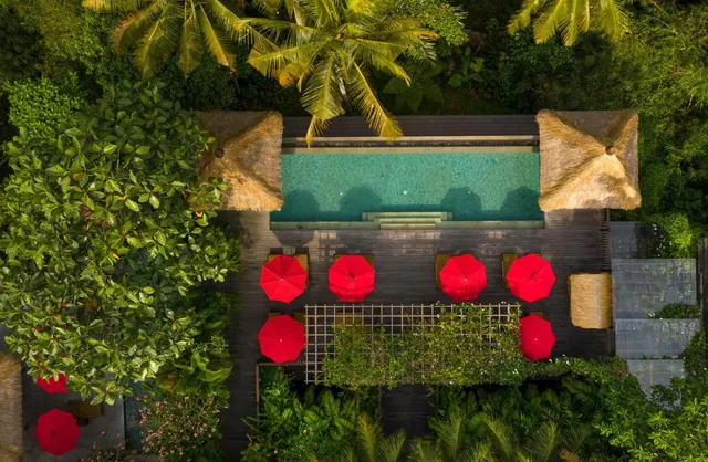 Aerial view of a swimming pool with red umbrellas, sun loungers and thatched gazebos on a timber deck surrounded by tropical trees.