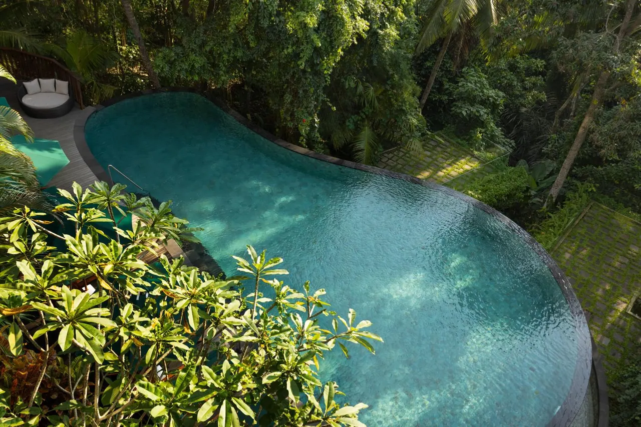 Elevated view of a freeform infinity-edge swimming pool surrounded by dense tropical jungle, with a round daybed with cushions at the upper left.