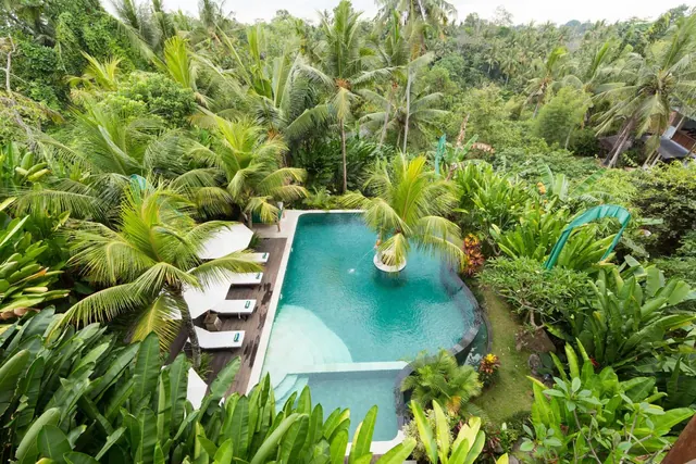 Aerial view of a turquoise pool with white sun loungers and shade canopies on a wooden deck, surrounded by dense tropical palms and jungle.