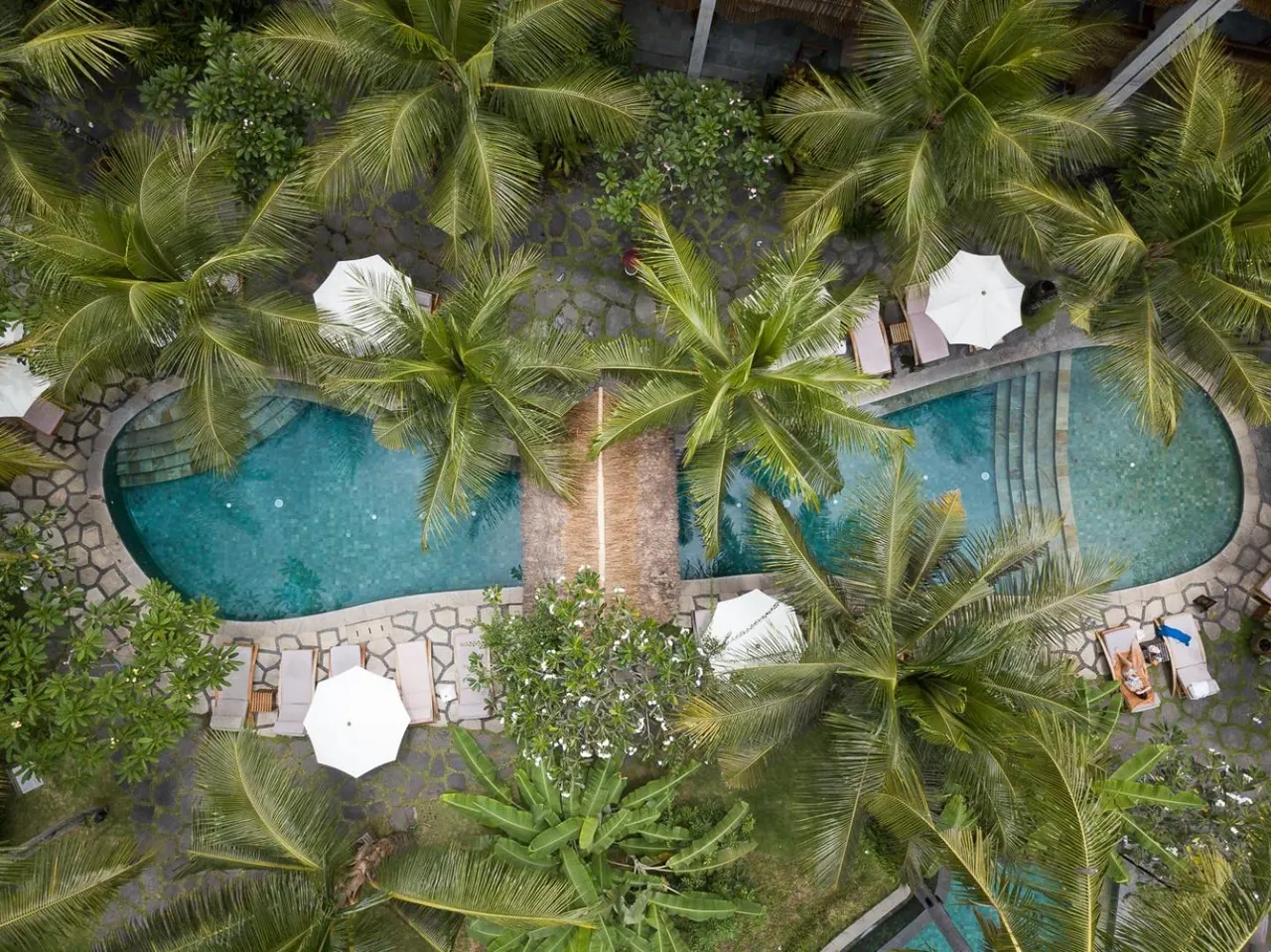 Aerial view of a freeform swimming pool surrounded by palm trees, white parasols and sun loungers.