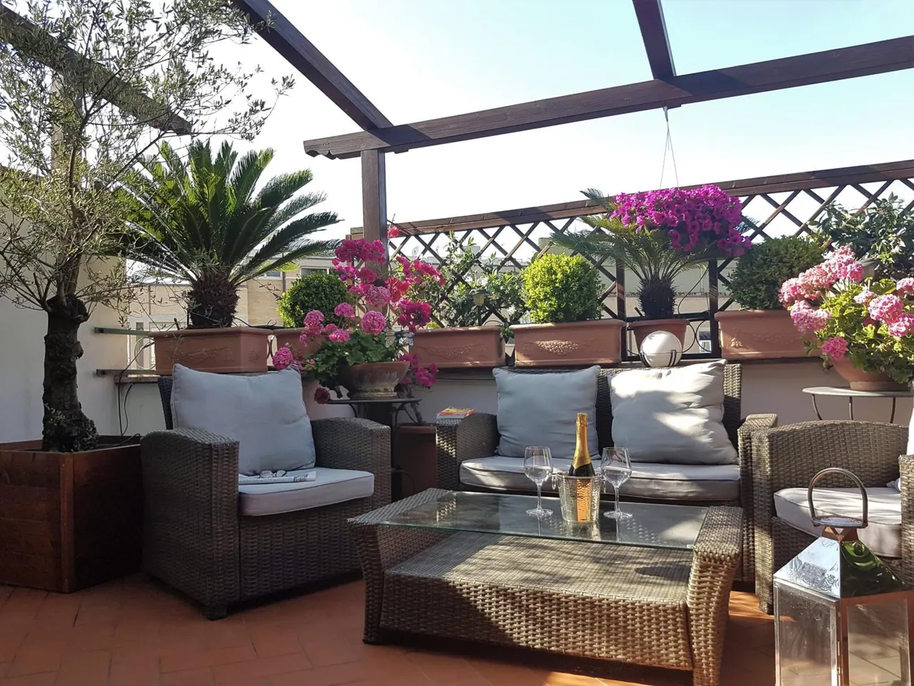 A furnished rooftop terrace with wicker sofas and armchairs, a glass coffee table holding a champagne bottle and two glasses, and potted olive, palm and flowering plants under a wooden pergola.
