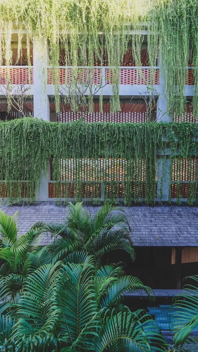 Exterior of a multi-storey building covered with hanging vines, with terracotta lattice screens, a tiled roof and palm trees in the foreground.
