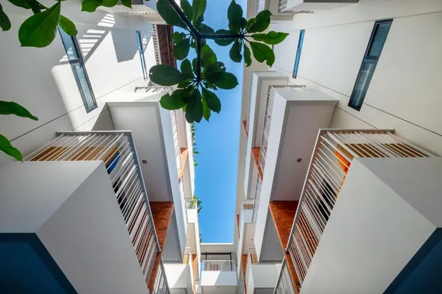 Looking up through a courtyard at white multi-storey buildings with slatted balcony railings, leafy branches and a blue sky above.
