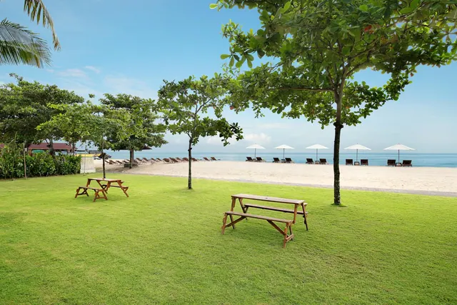 A green lawn with two wooden picnic tables leads down to a sandy beach with sun loungers, white parasols and the sea beyond.