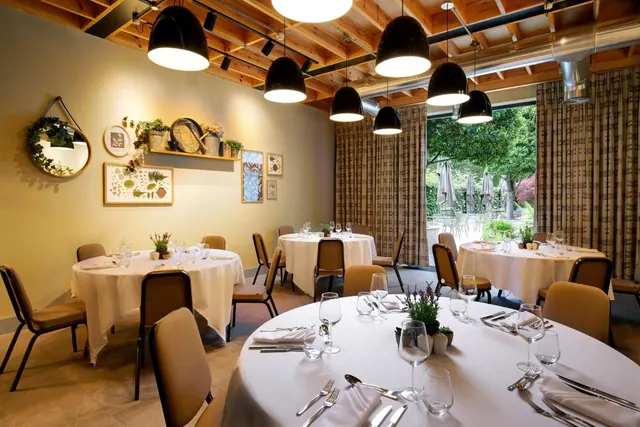 A dining room with round tables set with white cloths, cutlery and wine glasses, pendant lights under a timber ceiling, and a large window looking onto trees and parasols outside.