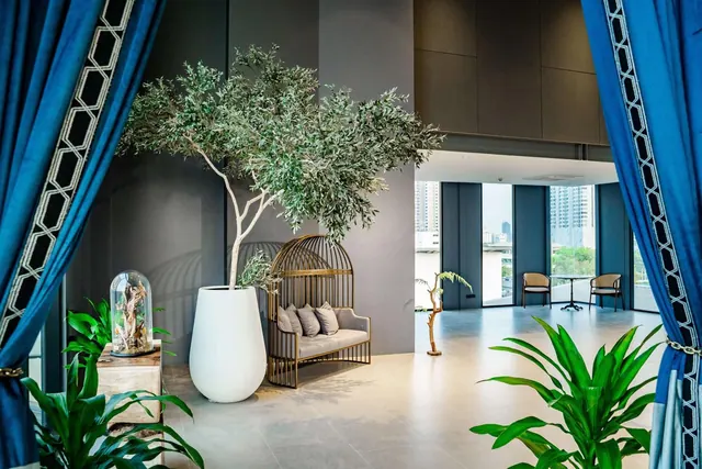 A lobby with a tall potted olive tree, a birdcage-style seat with cushions, blue curtains, and windows showing high-rise buildings outside.