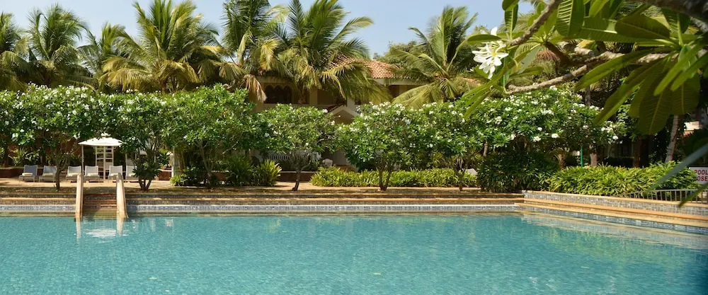 A large swimming pool is surrounded by sun loungers, tropical flowering plants and palm trees.