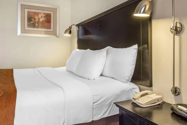 A made-up bed with white linens and pillows sits beside a dark nightstand holding a telephone, with wall-mounted reading lamps and a framed painting on the wall.