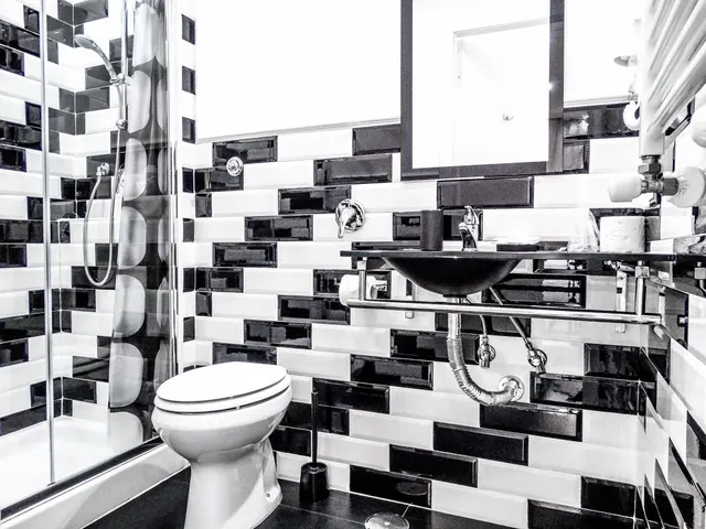 A black and white tiled bathroom with a glass-walled shower, a toilet, and a black basin on a glass shelf.