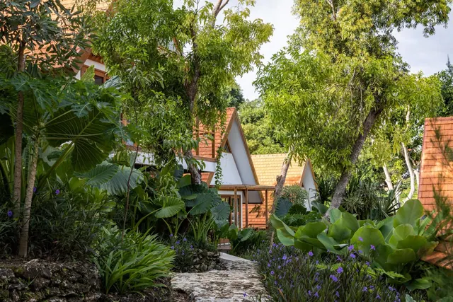 A stone pathway runs between tropical plants and purple flowers toward wooden A-frame cottages with shingled roofs.
