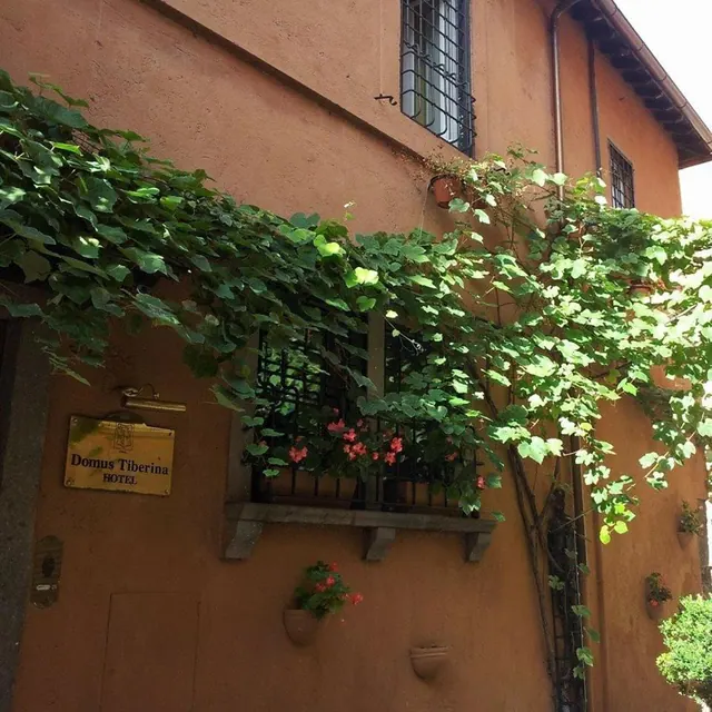 The exterior of the Domus Tiberina hotel shows an orange plastered wall covered in green vines, iron window grilles, flower boxes with red geraniums, and a gold plaque reading Domus Tiberina Hotel beside the entrance.