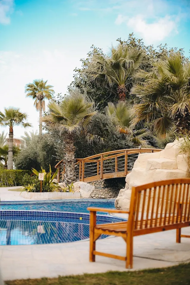 A tiled pool with a wooden arched footbridge over rockwork, palm trees behind it, and a wooden bench at the edge of the pool deck.