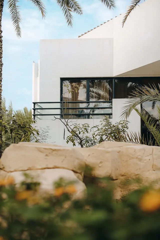 A white rendered building facade with a small glass-railed balcony and large dark-framed windows, with palm fronds at the top edge and a stone wall with blurred foliage in the foreground.