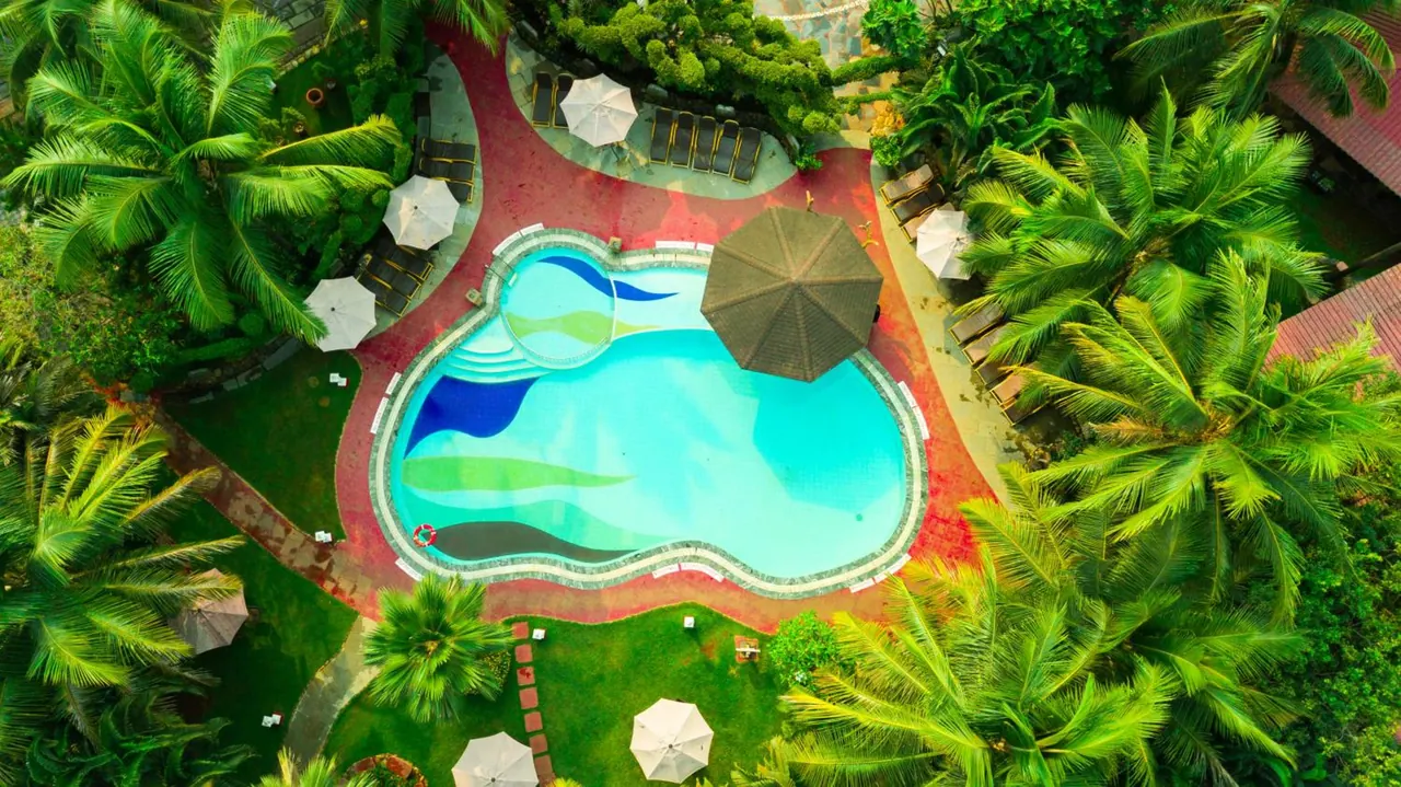 An aerial view shows a large swimming pool surrounded by palm trees, loungers and shade umbrellas.