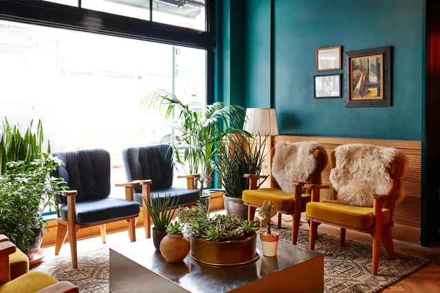A lounge seating area with teal walls, armchairs with sheepskin throws, potted plants and a metal coffee table beside a large window.