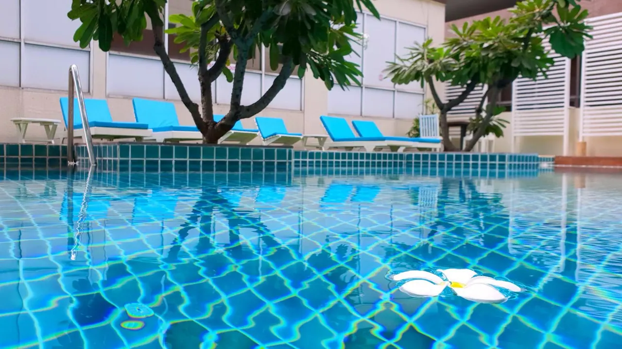 A tiled swimming pool with blue-cushioned sun loungers and frangipani trees behind it, with a white frangipani flower floating on the water.