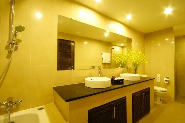A bathroom with a bathtub and handheld shower, a double vanity with two round basins on a black countertop, a mirror, and a toilet.