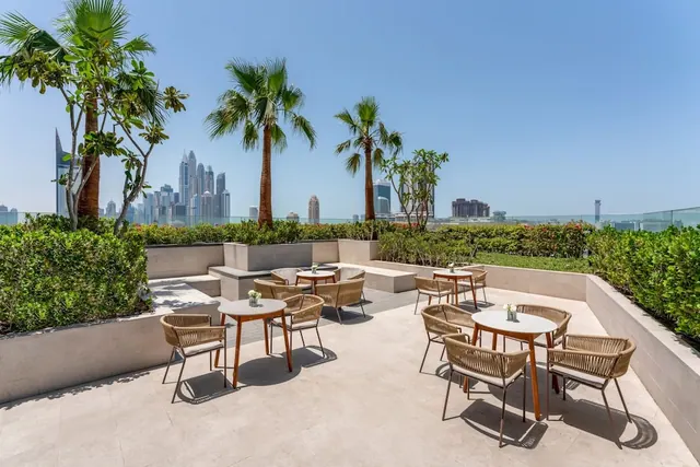 A rooftop terrace with woven chairs and small round tables among palm trees and planters, with a city skyline in the background.