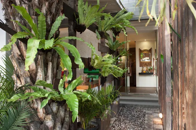 A gravel and stone-paved entrance path lined with fern-covered palm trunks and potted plants leads up steps to glass doors and an interior with a carved wooden mirror.