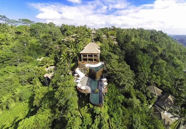 Aerial view of a thatched-roof hotel building with an infinity-edge pool and sun loungers on a forested hillside.