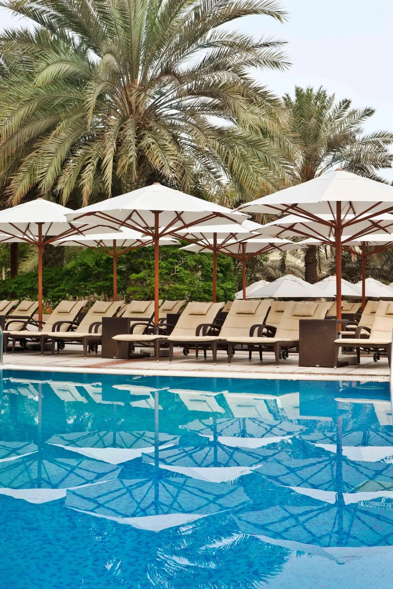 A swimming pool with rows of cushioned sun loungers and white parasol umbrellas beneath tall palm trees.