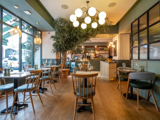 A restaurant dining room with wooden tables and chairs, an olive tree in the centre, globe pendant lights, tall windows onto a street, and a bar in the background.