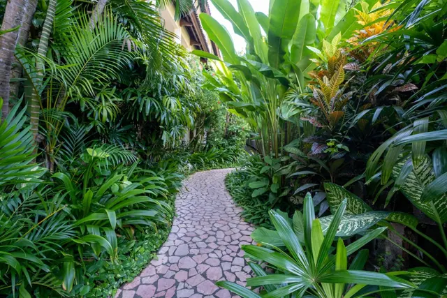 A winding stone path runs through dense tropical plants and palms, with part of a cream building wall visible at the top left.