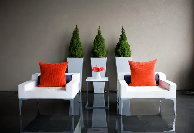 Two white armchairs with orange cushions sit either side of a small side table with a vase of flowers, with three potted conical evergreens against a grey wall.