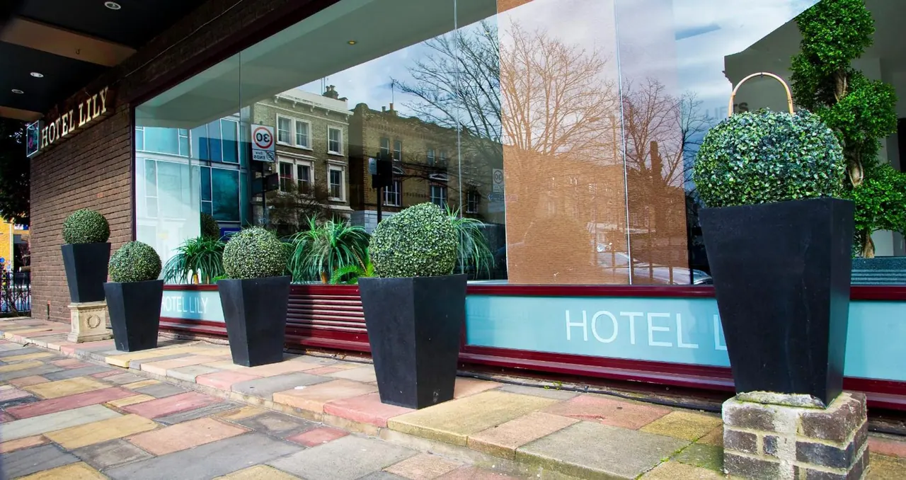 Street frontage of Hotel Lily with black planters holding clipped topiary, a large glass window and blue signage reading HOTEL LILY.