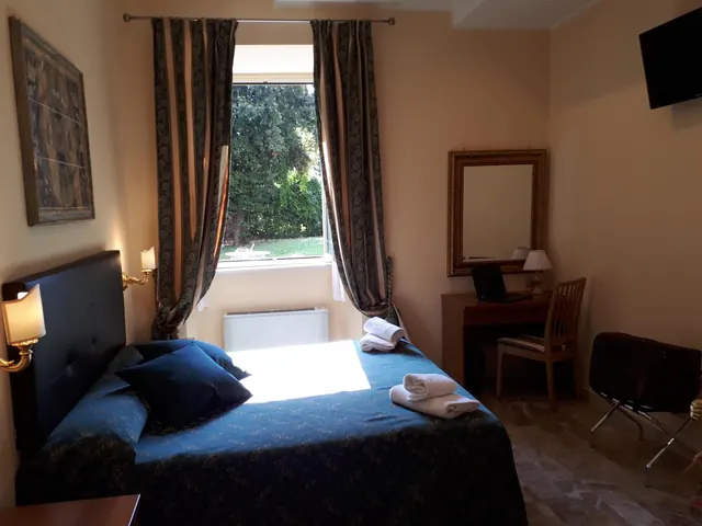 A double bed with a dark blue cover and folded towels sits beside a window looking onto trees and grass, with a desk, mirror and wall-mounted television in the room.
