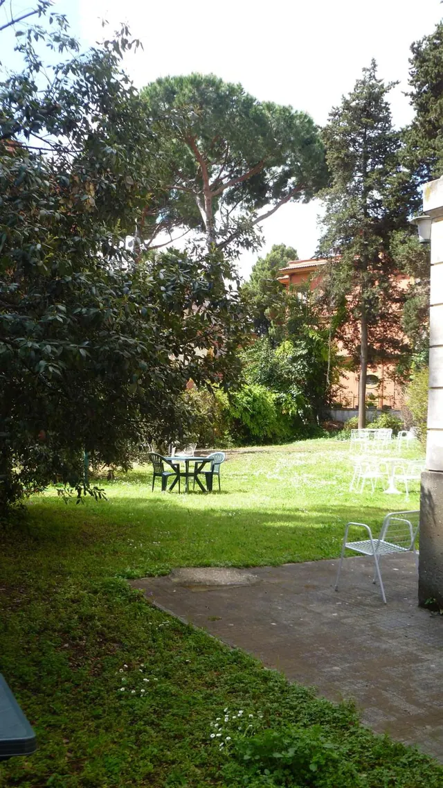 A grassy garden with tall trees, a round table with chairs on the lawn, and metal chairs on a paved patio beside a building.