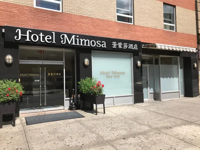 The street-level facade of Hotel Mimosa shows black signage over glass entrance doors, two potted plants with red flowers, and a grey entrance mat on the sidewalk.