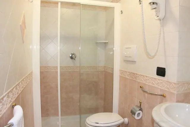 A bathroom with a glass-enclosed shower, a toilet, a wall-mounted hair dryer and a washbasin.