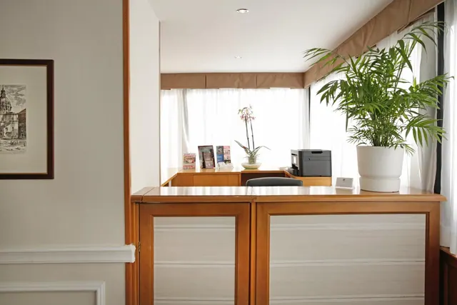 A hotel reception area with a wooden front desk, a large potted palm, a printer and brochures on the counter, and a framed print on the left wall.