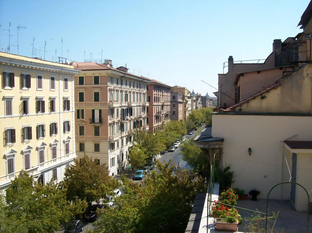A tree-lined street of multi-storey apartment buildings and parked cars is seen from an upper terrace with potted flowers in the foreground.