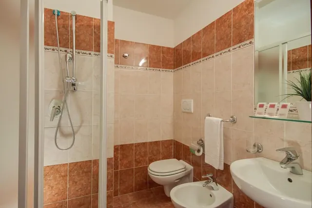 A bathroom with a glass-doored walk-in shower, a wall-mounted toilet and bidet, and a wall-hung sink beneath a mirror with a potted plant on a glass shelf.