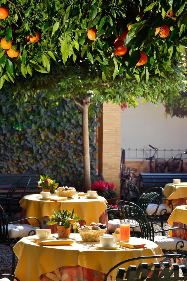 Outdoor breakfast tables with yellow tablecloths, cups and a bread basket sit beneath an orange tree in a walled courtyard.