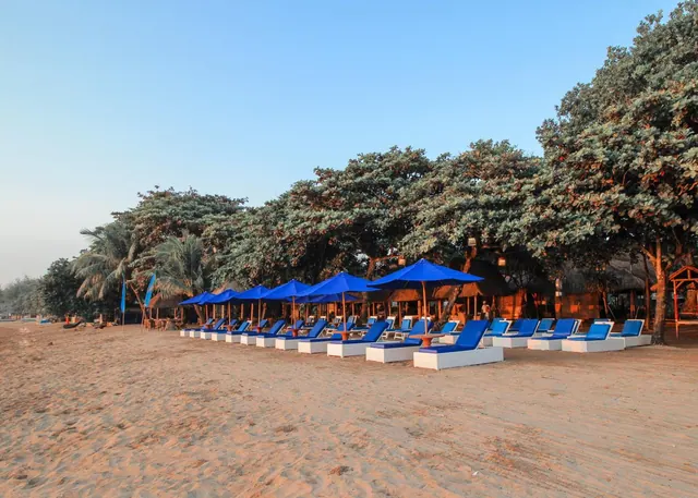Rows of blue sun loungers and blue parasols stand on a sandy beach in front of tall trees and thatched huts.
