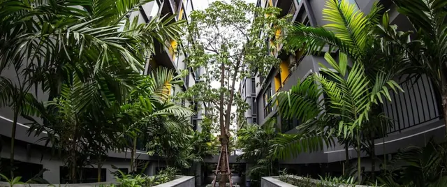 A courtyard garden inside a multi-storey building, with palm trees, a tall tree held up by a wooden frame, and yellow balconies on the grey walls.