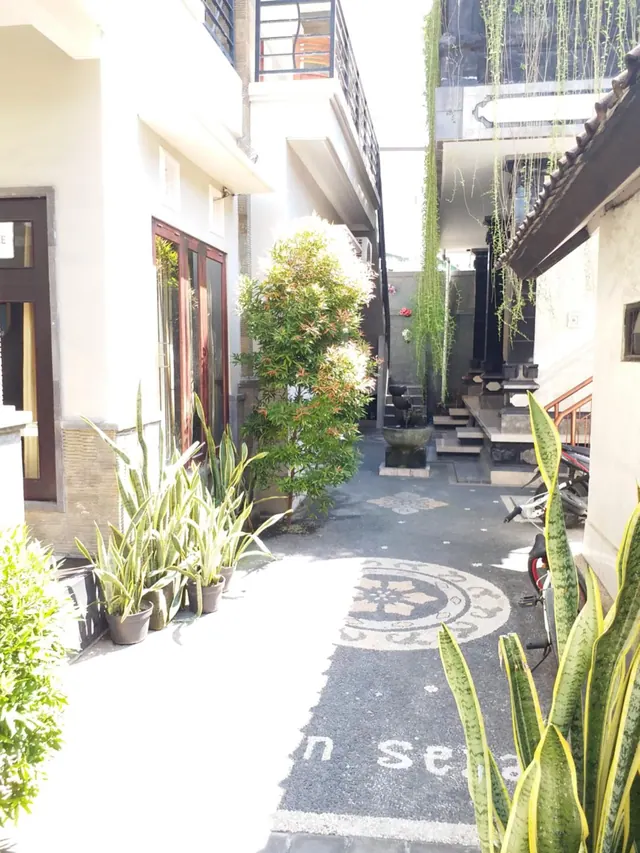 A narrow paved passageway between white buildings, lined with potted plants, with a mosaic floor, a stone water basin, stone steps and parked motorbikes.
