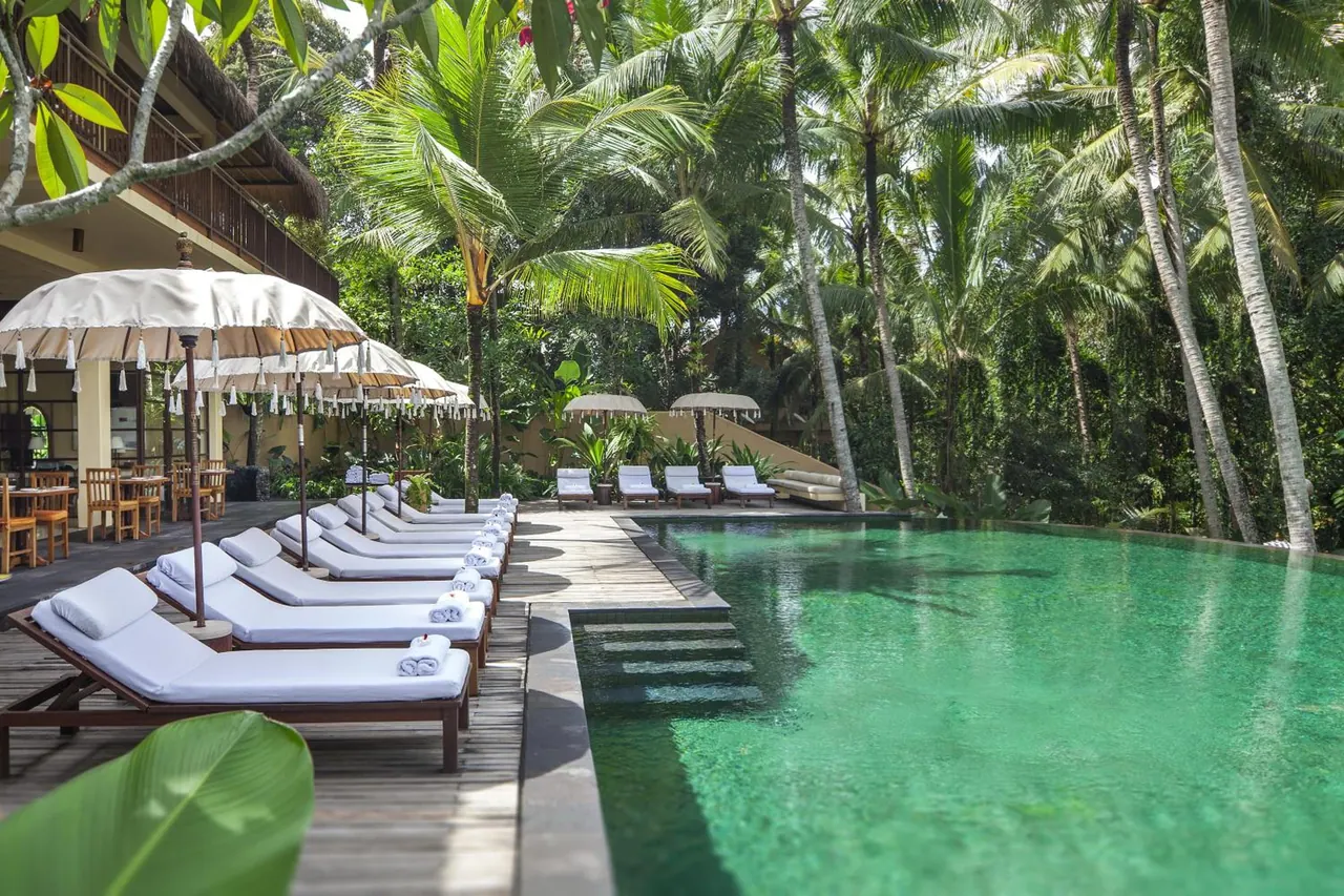 A large green swimming pool with white-cushioned sun loungers and parasol umbrellas beside it, surrounded by palm trees.