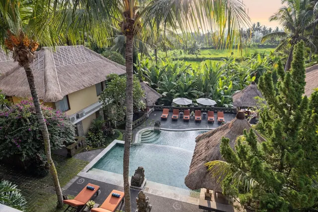 Elevated view of a pool with orange sun loungers and parasol umbrellas, surrounded by palm trees, thatched pavilions and rice fields.