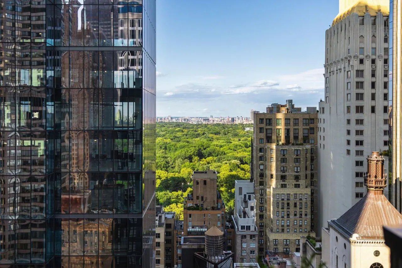 A view over the tree canopy of Central Park toward a distant city skyline, framed by high-rise buildings in the foreground.