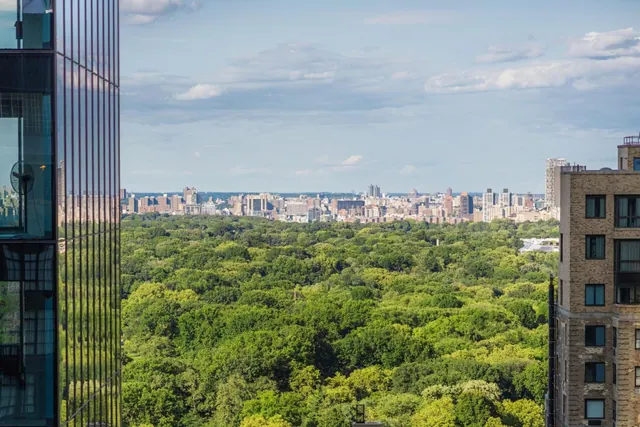 View from a high floor over a dense green tree canopy of a park toward a distant city skyline under a partly cloudy sky, with glass and brick buildings framing the edges.