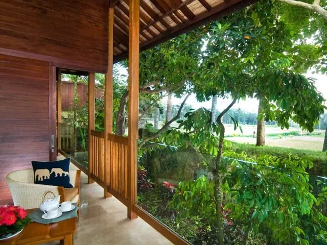 A covered wooden veranda with a wicker armchair, a tea set on a side table, and a glass railing overlooking green trees and an open field.