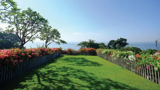 A green lawn runs between two wooden picket fences lined with flowering bougainvillea and shrubs, with frangipani trees and the sea visible in the background.