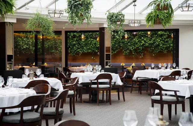 A restaurant dining room with white-clothed tables, wooden chairs with grey cushions, hanging plants under a glass roof, and a green wall visible through large windows.
