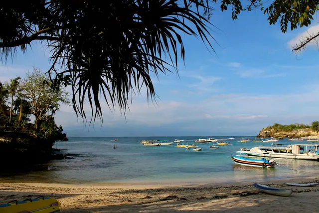 A sandy beach framed by overhanging palm fronds looks out over a bay with moored boats and a small swimmer in the water.