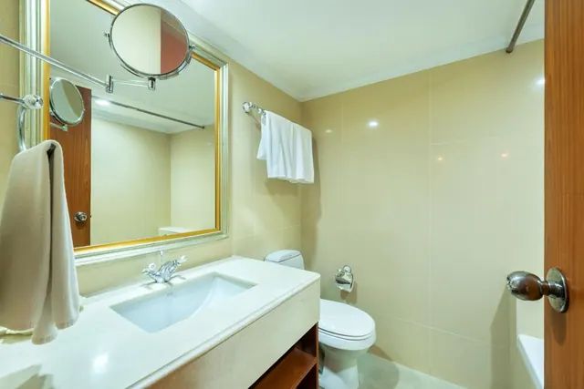 A bathroom with a single undermount sink on a stone counter, a gold-framed mirror, a toilet, and white towels hung on a wall bar.